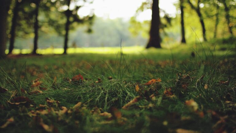 l’Italia in testa nella sostenibilità