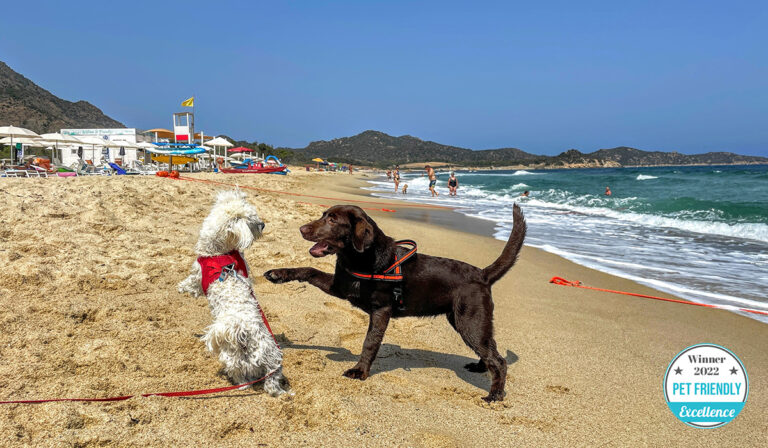 Il Tiliguerta Glamping & Camping Village vince nella categoria Campeggi e Villaggi Pet Friendly 2022