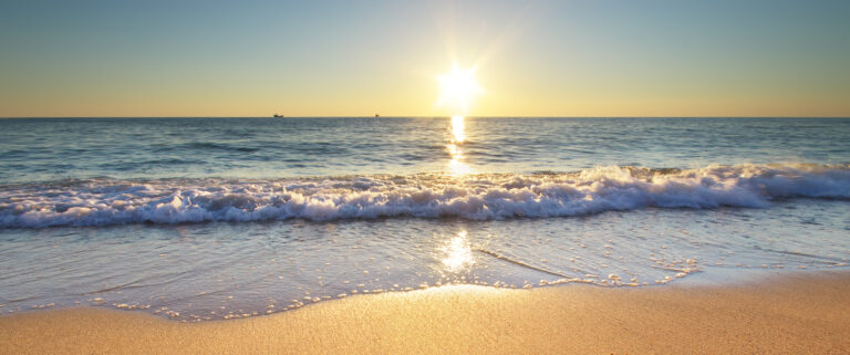 DDl Salvamare, la soddisfazione della FAITA