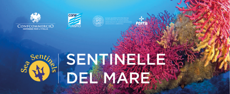 Sentinelle del mare: quando il turismo sostiene la scienza