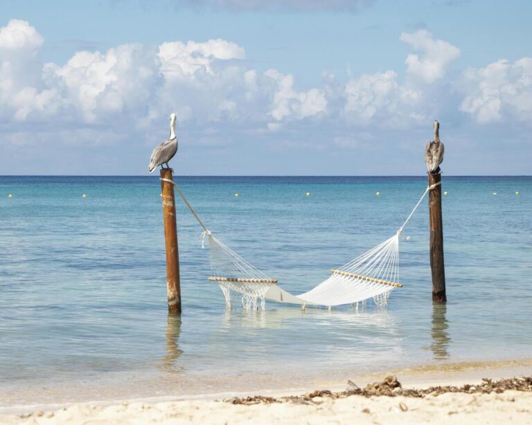 Un’estate al mare: numeri e previsioni del turismo balneare 2025