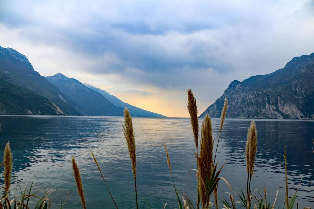 garda unico