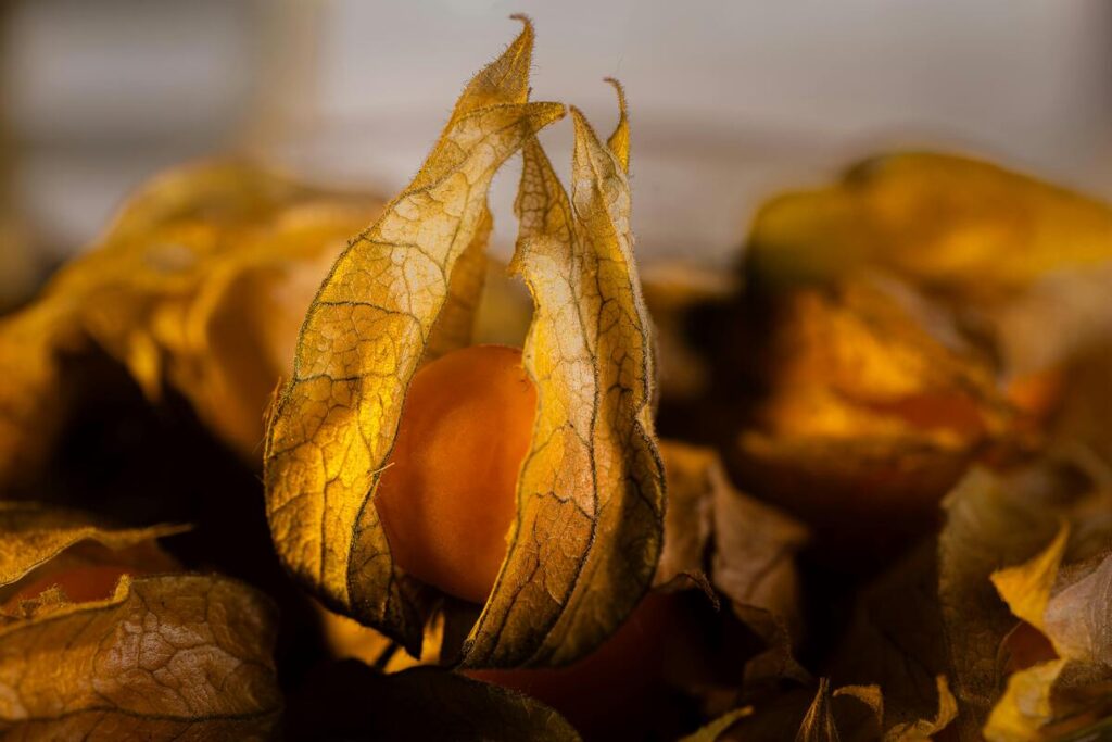 Eventi enogastronomici per valorizzare il territorio