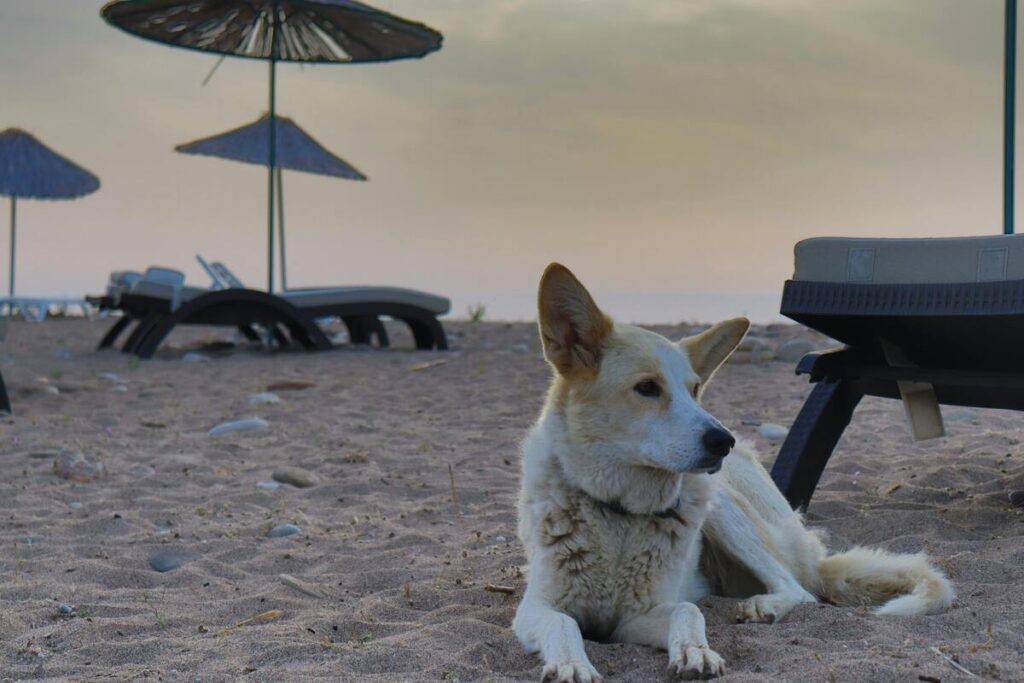 Promozione mirata del territorio