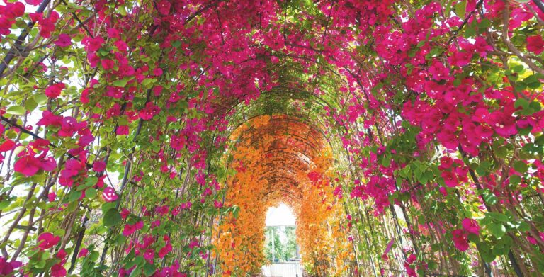 Turismo open air: il verde come risorsa strategica dell’ospitalità