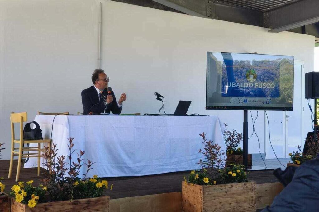 Evoluzione della domanda e dell'offerta Open Air