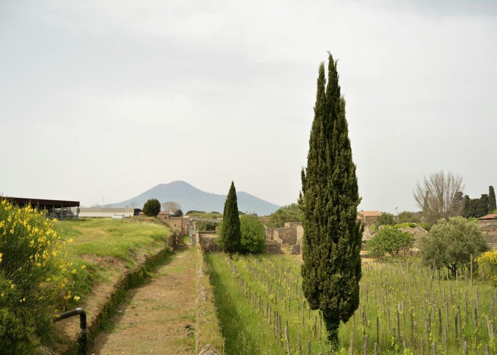 campi flegrei diventano una dmo
