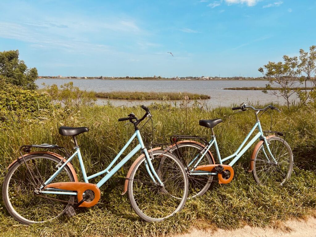 Bando Bici in Comune