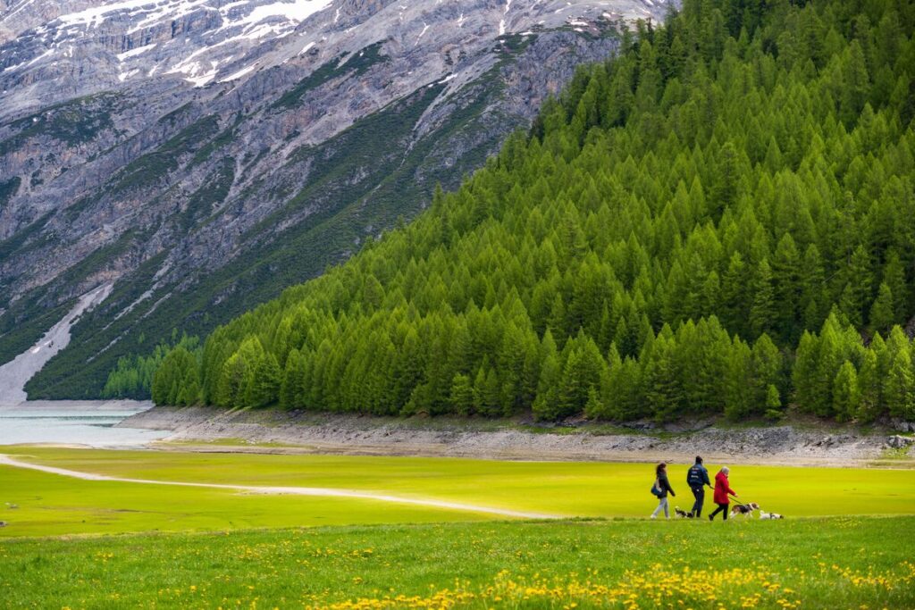 turismo è territorio